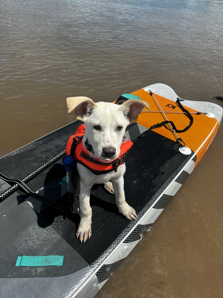 Entry image for Kenneth. Clicking this image will show a larger photo