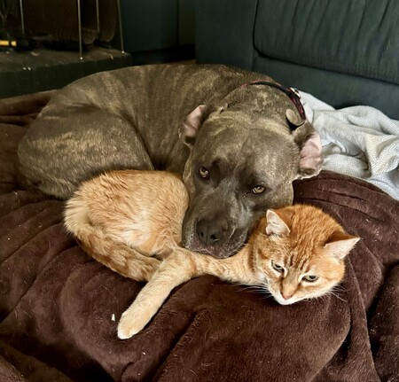 Entry image for Darla & Rita. Clicking this image will show a larger photo