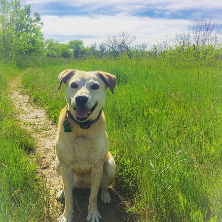 Entry image for Maya. Clicking this image will show a larger photo