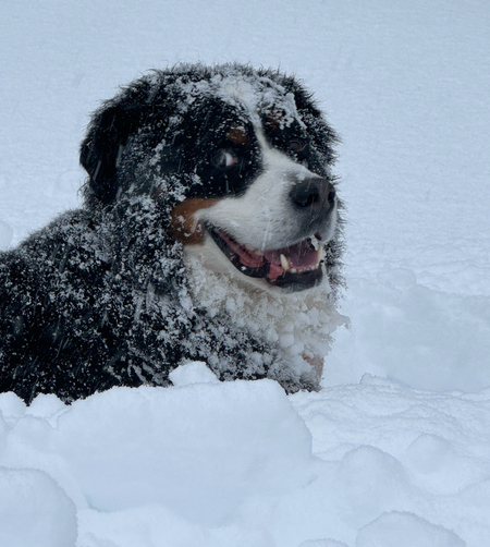 Entry image for Elliott. Clicking this image will show a larger photo