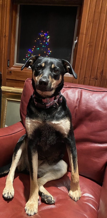 Entry image for Annie. Clicking this image will show a larger photo