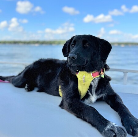 Entry image for Nadja. Clicking this image will show a larger photo