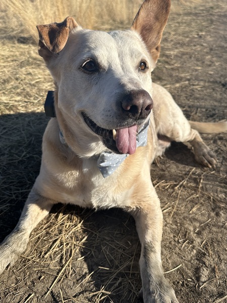 Entry image for Mac. Clicking this image will show a larger photo