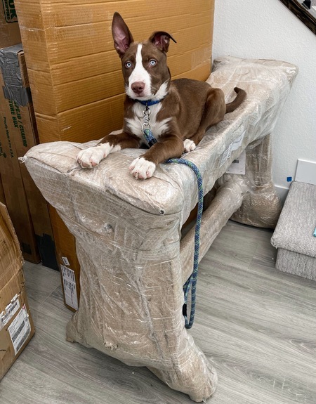 Entry image for Sabine Wren. Clicking this image will show a larger photo