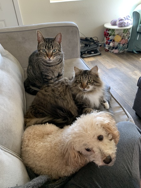 Entry image for Crowley, Agnes, Dylan. Clicking this image will show a larger photo