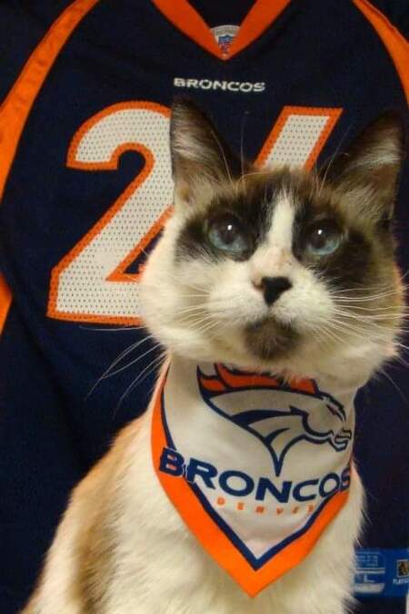 Entry image for Baby. Clicking this image will show a larger photo