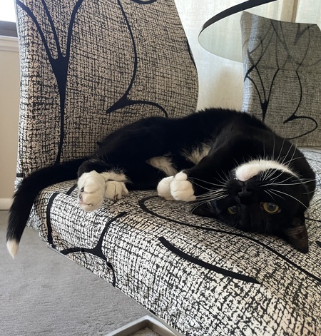 Entry image for Pita. Clicking this image will show a larger photo