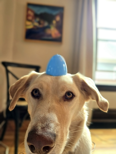 Entry image for Motu. Clicking this image will show a larger photo