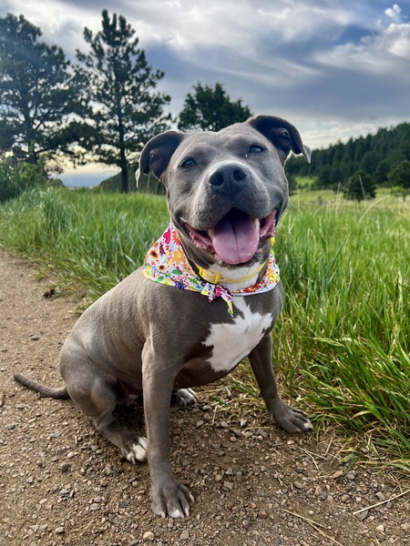 Entry image for Winnie. Clicking this image will show a larger photo