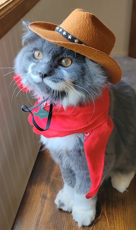 Entry image for Wyatt. Clicking this image will show a larger photo