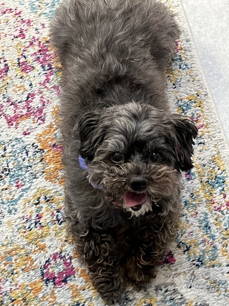 Entry image for Nini. Clicking this image will show a larger photo