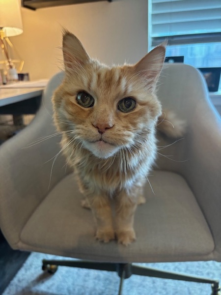 Entry image for Luke. Clicking this image will show a larger photo