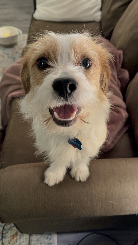 Entry image for Winnie. Clicking this image will show a larger photo