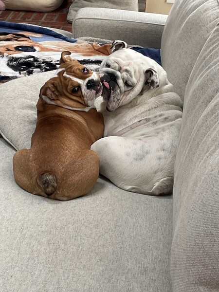 Entry image for Yeti & Griswold. Clicking this image will show a larger photo