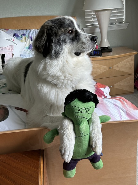 Entry image for Max. Clicking this image will show a larger photo