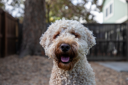 Entry image for Banquet. Clicking this image will show a larger photo