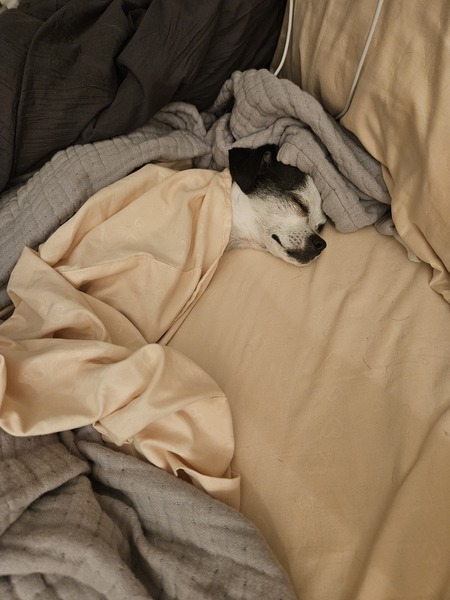 Entry image for Uma Thurman. Clicking this image will show a larger photo