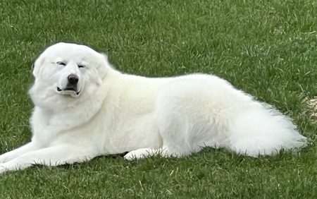 Entry image for Rebecca . Clicking this image will show a larger photo