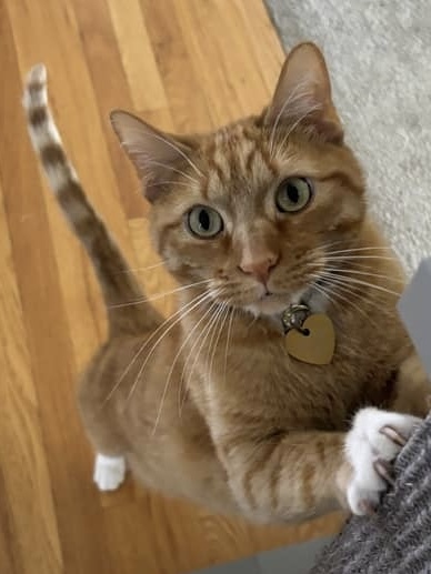 Entry image for Monzie Edward. Clicking this image will show a larger photo