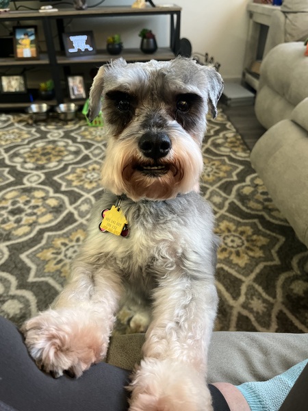 Entry image for Wyatt. Clicking this image will show a larger photo