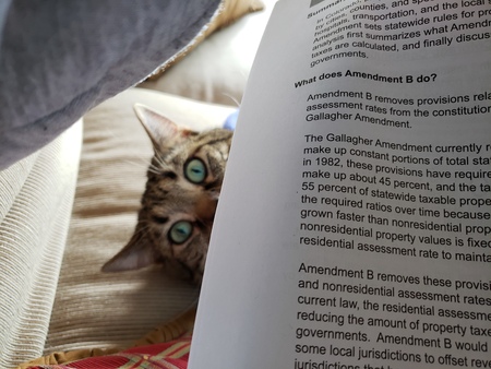 Entry image for Zadorov. Clicking this image will show a larger photo