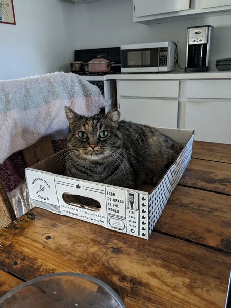 Entry image for Radar. Clicking this image will show a larger photo