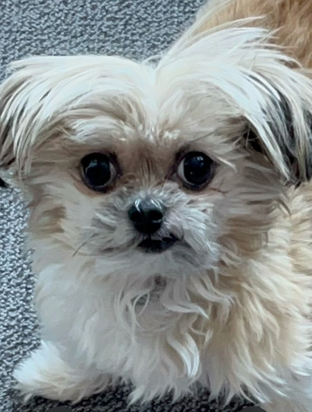 Entry image for Mikki. Clicking this image will show a larger photo