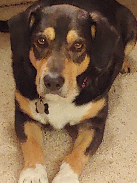 Entry image for Ranger Pat. Clicking this image will show a larger photo