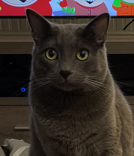 Entry image for Mikko. Clicking this image will show a larger photo