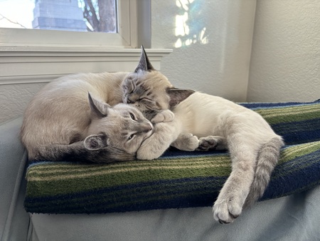 Entry image for Penny & Eleanor. Clicking this image will show a larger photo