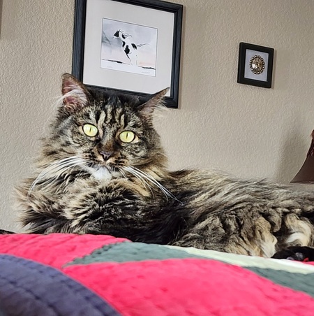 Entry image for Helga. Clicking this image will show a larger photo