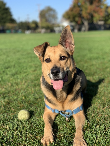 Entry image for Cudi. Clicking this image will show a larger photo