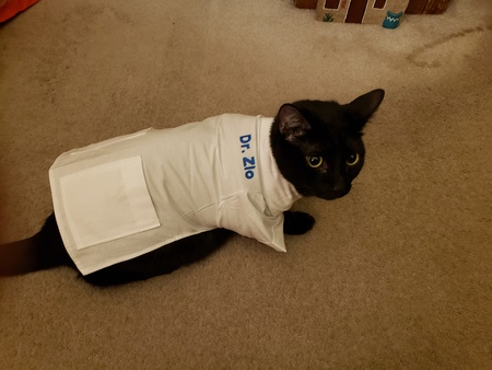 Entry image for Zlo. Clicking this image will show a larger photo