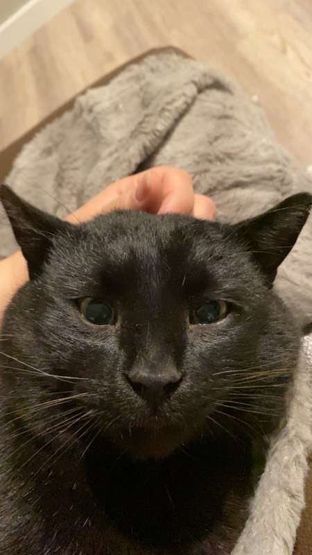 Entry image for Beans. Clicking this image will show a larger photo