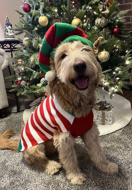 Entry image for JAXSON . Clicking this image will show a larger photo