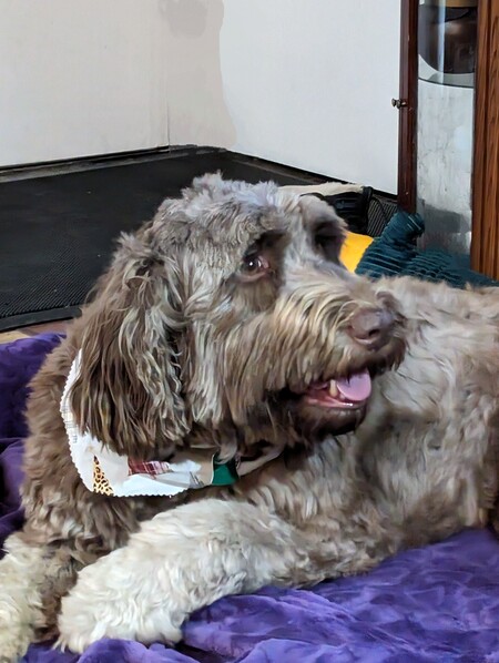 Entry image for Sally. Clicking this image will show a larger photo