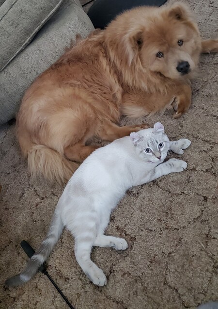 Entry image for Bonsai & Artemis. Clicking this image will show a larger photo