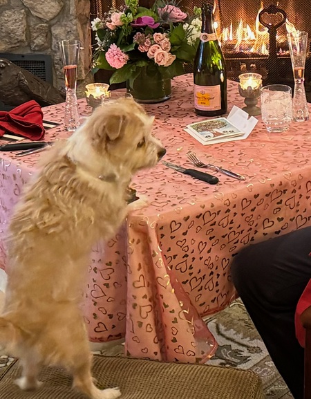 Entry image for Mädchen. Clicking this image will show a larger photo