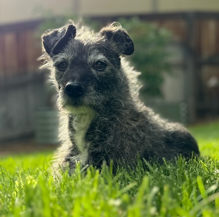 Entry image for Dieter. Clicking this image will show a larger photo