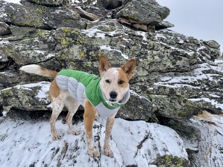 Entry image for Tessie. Clicking this image will show a larger photo