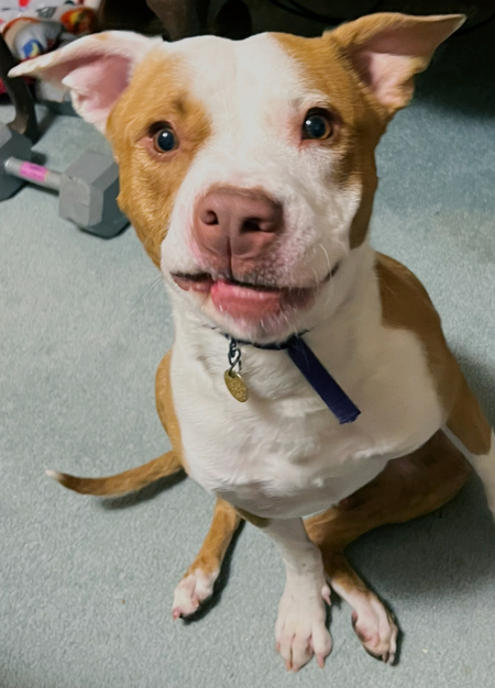 Entry image for Anthony Hendrickson . Clicking this image will show a larger photo