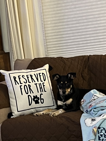 Entry image for Chloe. Clicking this image will show a larger photo