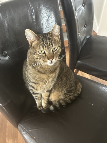 Entry image for Billy. Clicking this image will show a larger photo