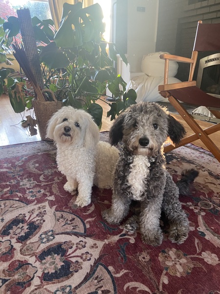 Oliver & Luigi