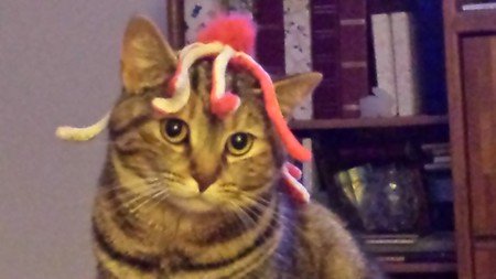 TigerLily