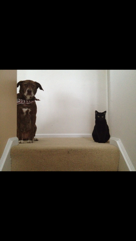 Welcome Home!  Dixie and Betty
