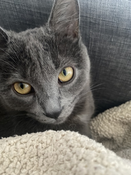 Yuki