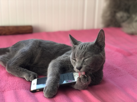 Entry image for Armin. Clicking this image will show a larger photo