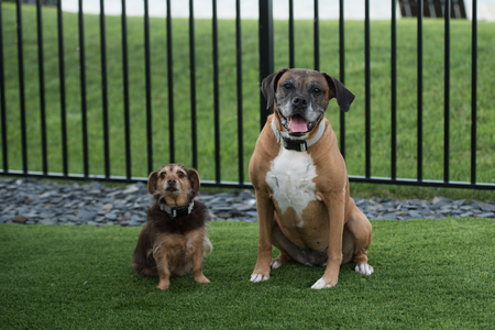 DISCO AND BAILEY