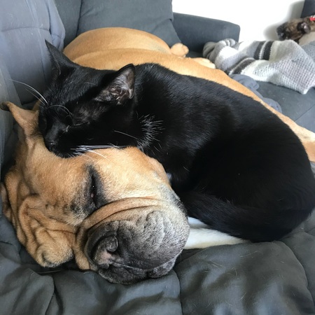 Mylo & Tiny